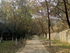 -苏州城市学院