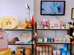 -70cat德文卷毛猫·缅因猫纯种猫舍