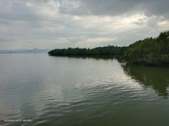 -深圳湾公园(南山区)