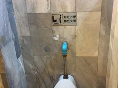 -金东尼人妖秀