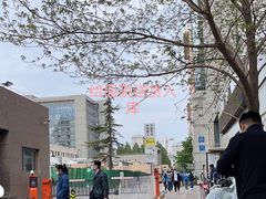 -北京大学肿瘤医院