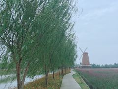 -漩门湾国家湿地公园