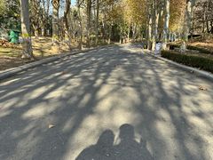 -春晖园度假酒店温泉