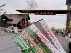 -泗洪洪泽湖湿地景区