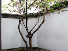 -蒋氏故居