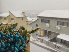 -中旅松花湖滑雪场