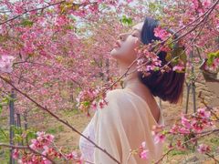 -天适樱花悠乐园