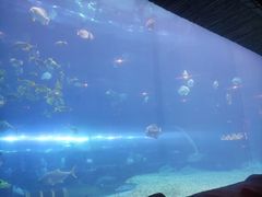 -华夏文旅西安度假区