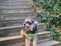 -宁波五龙潭景区