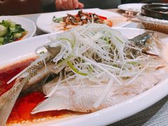 油淋鲈鱼-觅唐MITONG(鸟巢店)