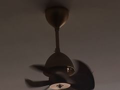 -15年老字号鑫鑫猪肚鸡·椰子鸡海南火锅(兴隆华侨农场店)