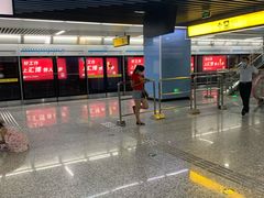 -大龙山(地铁站)