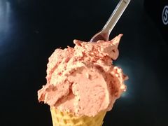 -野人牧坊Gelato(天津南开大悦城店)