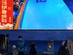 -洛阳龙门海洋馆