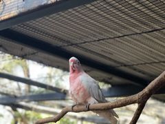 -可伦宾野生动物保护区