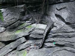 -Zoolung Zoolung动物主题公园(海信广场店)