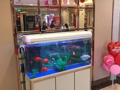 -华夏良子(京密路店)