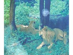 -泉州海丝野生动物世界