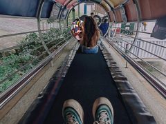 -姑婆山旅游区