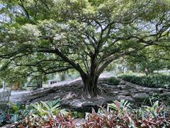 -晓港公园