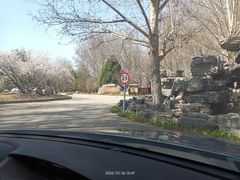 -尚庄度假村·庭台树下·户外烧烤·团建CS·轰趴营地(上庄水库店)