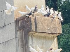 -音乐台