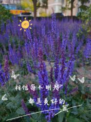 -Oasis Beauty水磨坊科技美肤中心