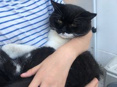 -美家乐农庄·露营·团建(大治路店)