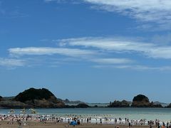 -金海湾海鲜排档(朱家尖店)