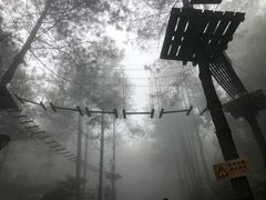 -梦幻奥陶纪景区