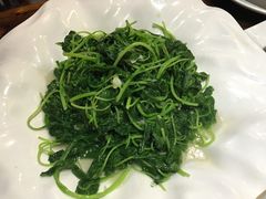-森谷美食公园(杨行店)