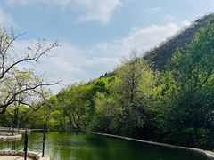 -静之湖度假区