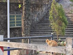 -飞霞风景名胜区