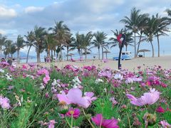 -玫瑰海岸文化旅游度假区