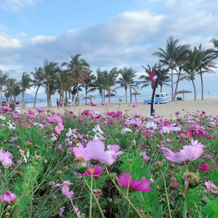 玫瑰海岸文化旅游度假区"自从疫情开始后,玫瑰海岸的人流也是少了很.