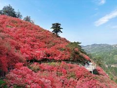 -木兰云雾山