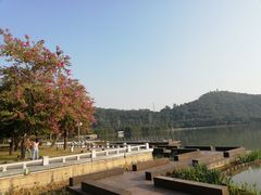-顺峰山公园