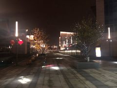 -映月湖中央公园