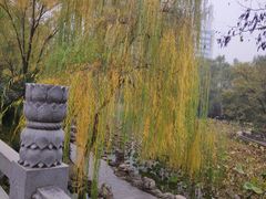 -莲湖公园