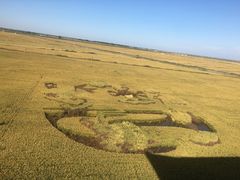 -红海滩国家风景廊道