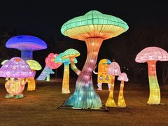 -洛阳市隋唐城遗址植物园