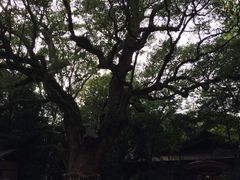-热田神宫
