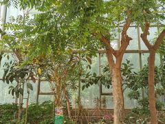 -石家庄市植物园