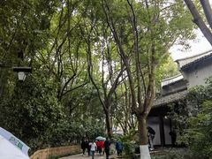 -乌镇东栅景区