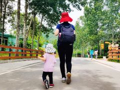 -大连森林动物园