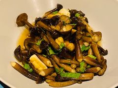 炒小黑鸡枞-半山腰·云南菜(侨福芳草地店)