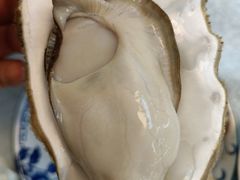 桑拿蠔-天宝食坊·啫啫煲大排档(西华路店)