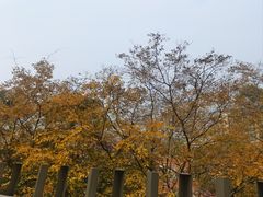-福道
