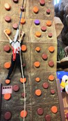 -卡通尼·Safari非洲探索乐园·生日会(金桥国际商业广场店)