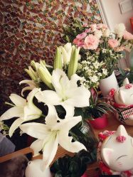 -JustNail甲思美甲